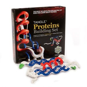 Tangle? Protein Building Set
